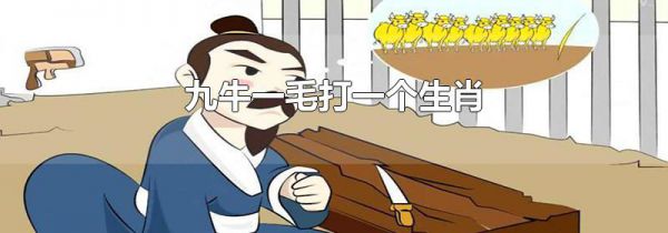 九牛一毛打一个生肖