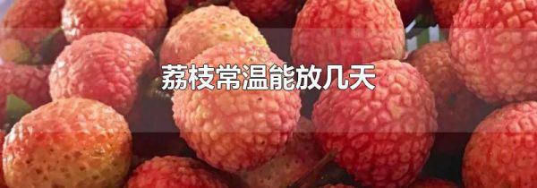 荔枝常温能放几天