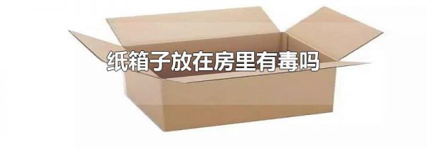 纸箱子放在房里有毒吗