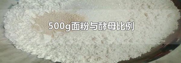 500g面粉与酵母比例