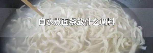 白水煮面条放什么调料