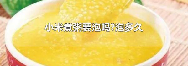 小米煮粥要泡吗?泡多久