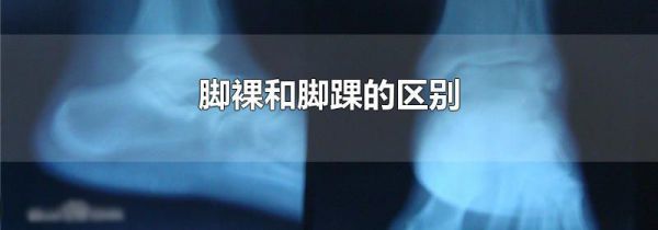 脚裸和脚踝的区别