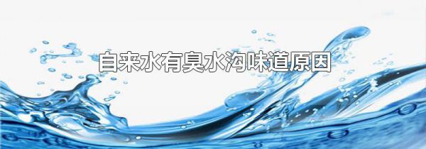 自来水有臭水沟味道原因