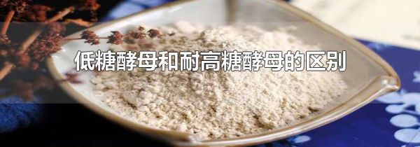 低糖酵母和耐高糖酵母的区别