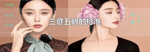 三庭五眼的标准
