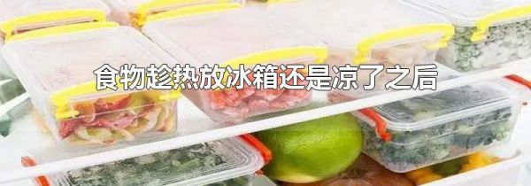 食物趁热放冰箱还是凉了之后