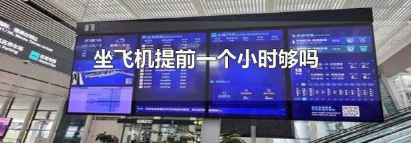 坐飞机提前一个小时够吗