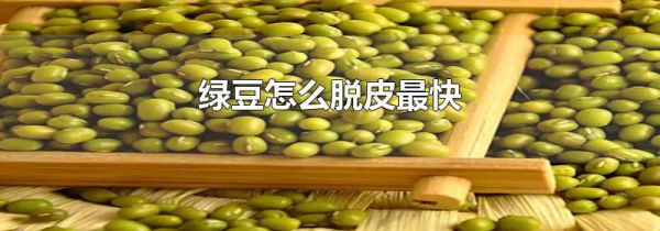 绿豆怎么脱皮最快