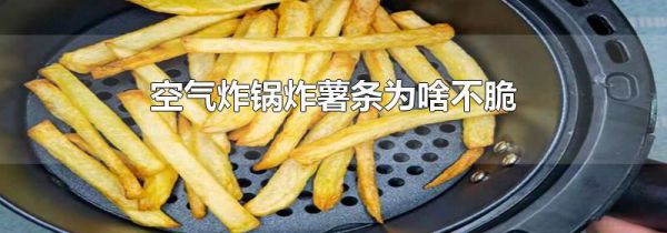 空气炸锅炸薯条为啥不脆