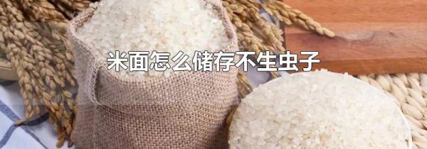 米面怎么储存不生虫子