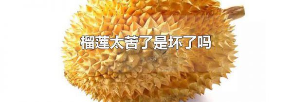 榴莲太苦了是坏了吗