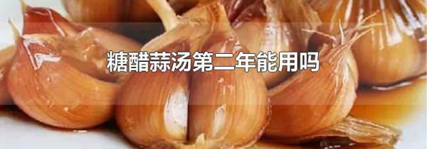 糖醋蒜汤第二年能用吗