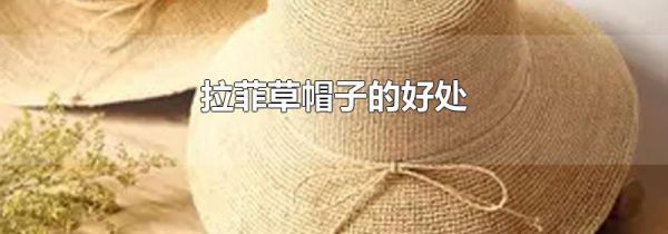 拉菲草帽子的好处
