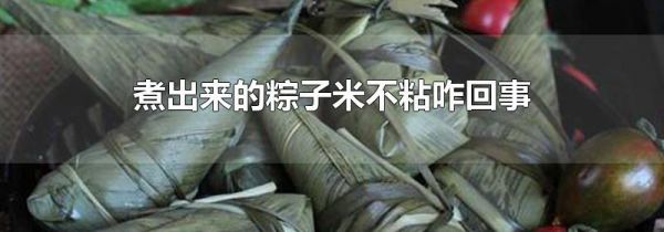 煮出来的粽子米不粘咋回事