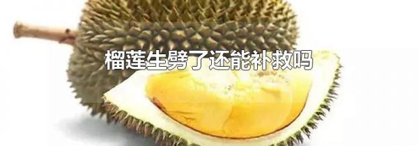 榴莲生劈了还能补救吗