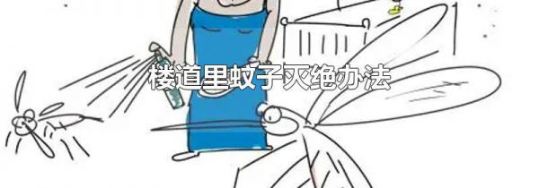 楼道里蚊子灭绝办法