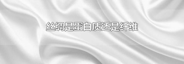 丝绸是蛋白质还是纤维