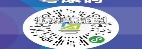 健康码和粤康码的区别