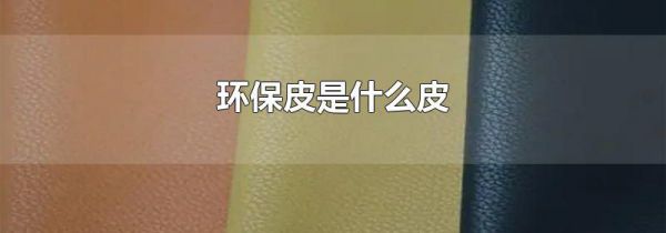 环保皮是什么皮