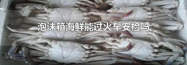 泡沫箱海鲜能过火车安检吗