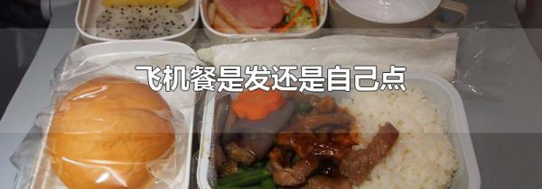 飞机餐是发还是自己点
