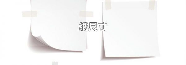 纸尺寸