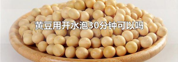 黄豆用开水泡30分钟可以吗