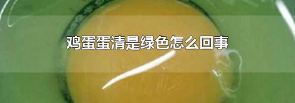 鸡蛋蛋清是绿色怎么回事