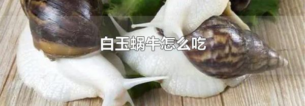 白玉蜗牛怎么吃