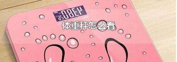 体重秤怎么看