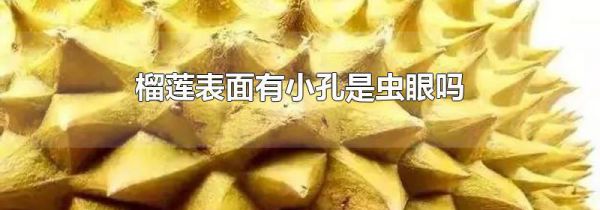 榴莲表面有小孔是虫眼吗