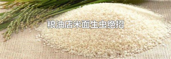 粮油店米面生虫绝招
