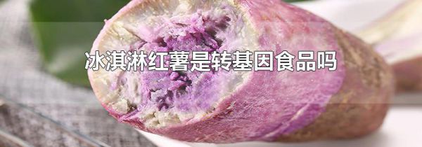 冰淇淋红薯是转基因食品吗