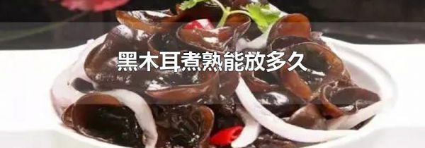 黑木耳煮熟能放多久