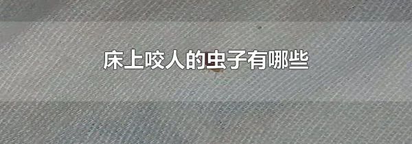 床上咬人的虫子有哪些