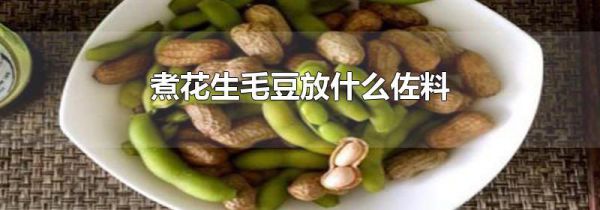 煮花生毛豆放什么佐料
