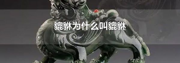 貔貅为什么叫貔貅