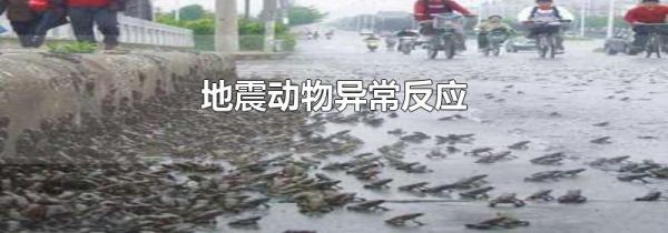 地震动物异常反应