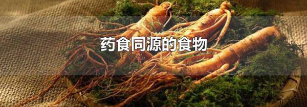 药食同源的食物