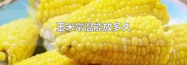 玉米常温能放多久