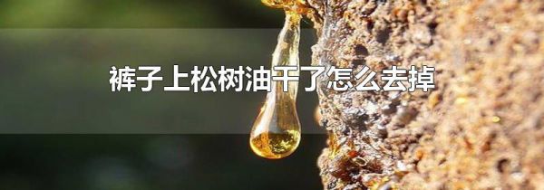 裤子上松树油干了怎么去掉