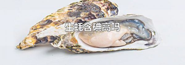 生蚝含碘高吗