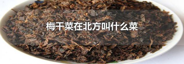 梅干菜在北方叫什么菜