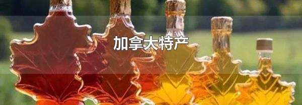加拿大特产