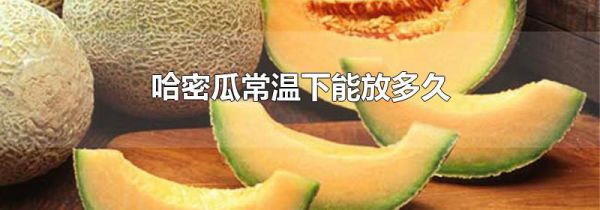 哈密瓜常温下能放多久