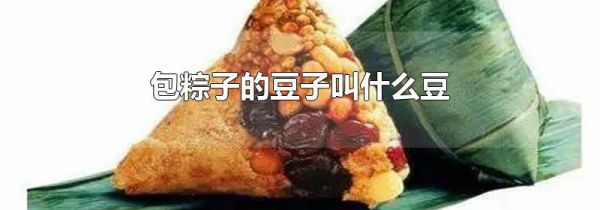 包粽子的豆子叫什么豆