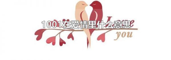 1001在爱情里什么意思
