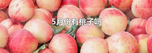5月份有桃子吗