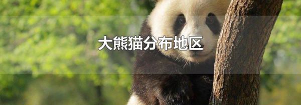 大熊猫分布地区